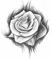 /album/disegni/rose-b-w-jpg/